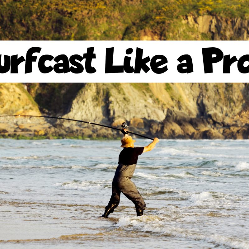 What is the Best Time to Surf Fish? Fishing Fanatiks