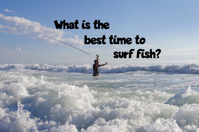 What is the Best Time to Surf Fish? Fishing Fanatiks